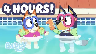 🔴 LIVE: Bluey and Bingo have FUN in the swimming pool!😆💦🏊‍♀️ | 4 HOURS | ﻿Bluey
