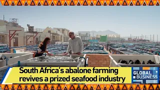 South Africa’s abalone farming revives a prized seafood industry