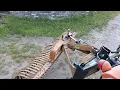 Added a cylinder to my landscape rake for angle adjustment