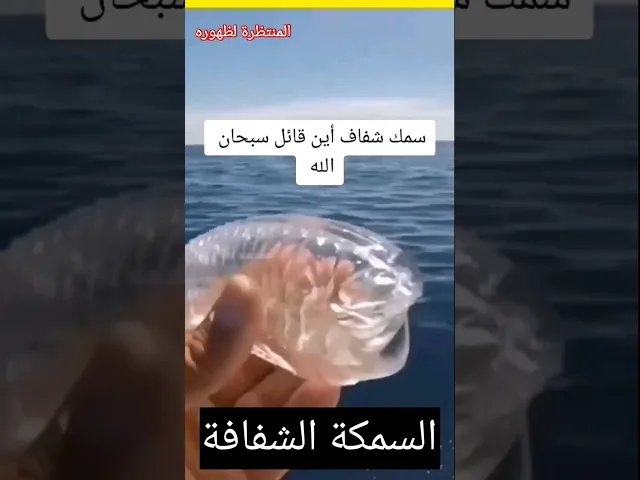⁣سبحان الخالق!!!