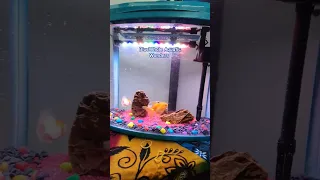 Https Chat Whatsapp Com GbXPAHByzip5XK6rvm9v4m 