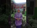 Lagu Deklarasi Anti Hoax Kepala Sekolah SD 21 Lubuk Alung Kab. Padang Pariama