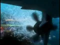 Download Lagu Finding Nemo VHS 2003