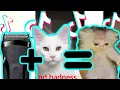 Drake - Some Madness and Badness Combination Funny TikTok Meme
