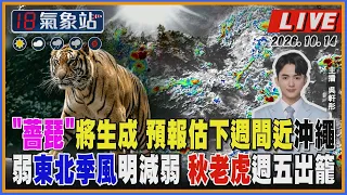 【TVBS18氣象站】"薔琵"將生成 預報估下週間近沖繩 弱東北季風明減弱 秋老虎週五出籠