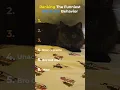 Download Lagu Ranking The Funniest Black Cat Behavior