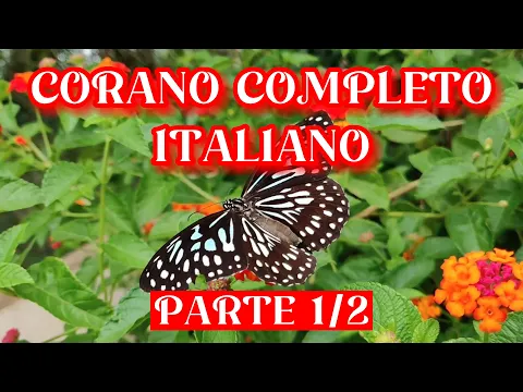 Download MP3 CORANO COMPLETO IN ITALIANO AUDIO PARTE 1/2