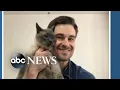 Weird pet names