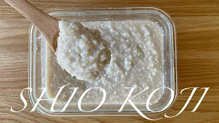 How to make SHIO KOJI - Japanese fermented condiment