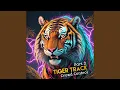 Download Lagu Tiger Track (Crowd Control) , Pt. 2