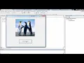 Visual Basic 6 0 Manejo de Imagenes