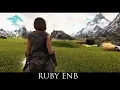 Skyrim LE Mods - RuBy ENB