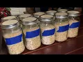 P Natalensis Grain Jar Comparison vs JMF