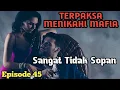 Download Lagu Bab 45. Sangat tidak Sopan