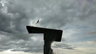 suara panggil mono seperti ini responnya