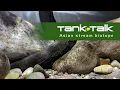 Download Lagu Tank Talk: Asian Stream Biotope