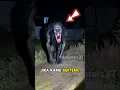 Download Lagu Viral❗Penampakan genderuwo asli? #shorts #hantu #penampakan