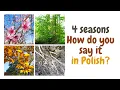 Lagu Seasons of the year - name them in Polish