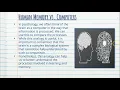 Information Processing Model - Cognitive Psychology