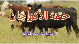 حقنة التسمين الأكواجان Equigan 