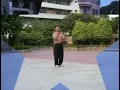 Grandmaster Ho Wun-san He Huanxin - Dragon Style Kung Fu Lung-ying Kyun Demonstration
