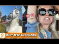 Download Lagu Britt raakt gewond door George | PaardenpraatTV