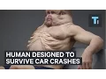 Human designed to survive car crashes
