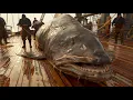 Hunting for Big Toothfish on a Modern Boat Journey to Catch 100kg Toothfish in the Atlantic Ocean