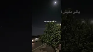 قولي الاقي انا زيك فين  يلي مفيش ف جمالك اتنين دندنها