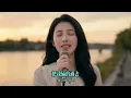 超好聽｜《我沒有騙你》聽哭無數有情人😭｜原唱：包娜娜｜鄧麗君經典翻唱｜「你忘了我，我也忘了你」字字心碎 #經典老歌 #華語經典