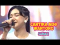 Download Lagu CANTIKA NUSWANTORO - SAMAR _ MAHESA MUSIC