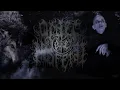 Download Lagu Order of Nosferat - Fear the Unchained Ghoul (Track Premiere)