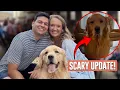 Alex Drummond Reveals George s Vet Results After Scary Lump Discovery