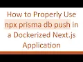 How to Properly Use npx prisma db push in a Dockerized Next js Application