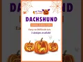 Dachshund Pumpkin Stencil