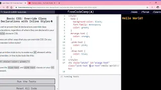 Learn Basic CSS Override Class Declarations with Inline Styles freeCodeCamp org Google Chrome 2