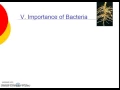 Bacteria and Archaea Theme 4 Topic 2 pg 4