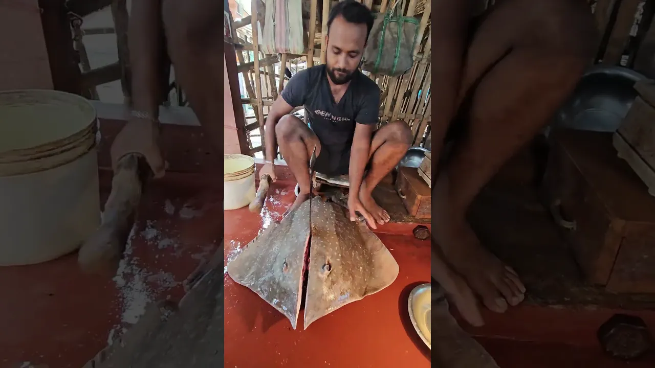 Amazing 13 Kg Big Shankar Fish Cutting Skill #ashortaday #shorts #shankarfish