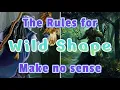 You don t know how Wild Shape works in D D 5e and neither do I