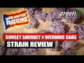 Visiting the Cannabis Social Club - Barcelona Strain Review