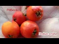 Lagu Рябина кандай мева