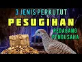 Download Lagu Pesugihan Perkutut Lokal  |  3 Jenis Perkutut Bertuah Pembawa kekayaan bagi pedagang atau pengusaha