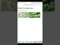 Image Transparent Hover Effect in html and CSS