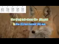 Fox on the Run by Tom T. Hall play along with scrolling guitar chords and lyrics