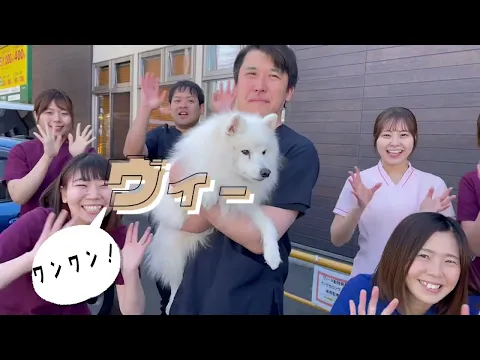 【ドローン対応可！】心を込めて映像を丁寧に制作します！