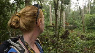 Meeting the People of the Forest in Borneo – Ep. 112