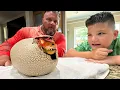 Lagu GIANT DINOSAUR EGG! Caleb \u0026 Dad Search For Dinosaurs! Primal Hatch Dinosaur Toy  Kids Fun Activity