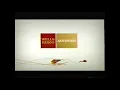 Wells Fargo Advisors Commercial 2009