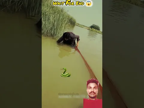 #edit