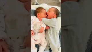 ماذا يفعل لأخيه توأم Twins 